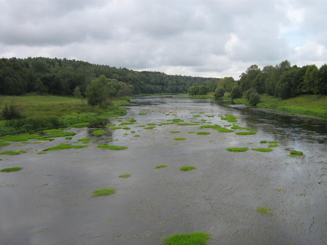 Vasilyevskoye